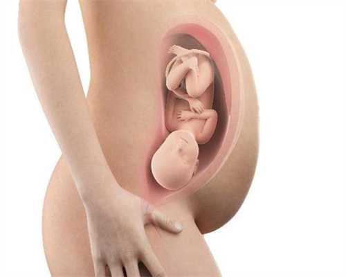 助孕包成功_代孕育科普代孕酮对怀孕有什么作用