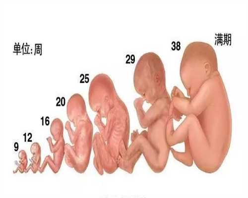 深圳代孕需要哪些条件_免疫性不孕不育是什么