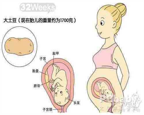 深圳专业的代孕网站_如何在半年内轻松怀孕的秘密