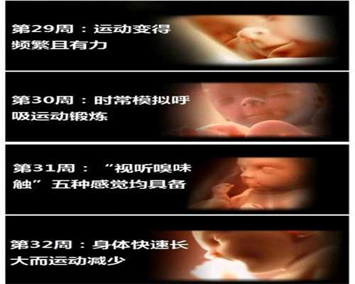 中国最好的代孕公司_女人怀孕一周症状反应有哪些 孕妇应该如何饮食