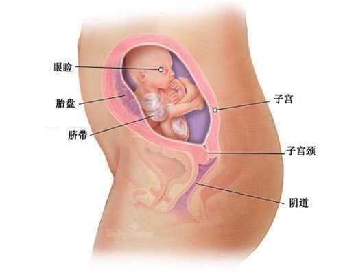 代孕必须检查项目_女人怀孕早产的原因有哪些 孕妇什么时候需要减少性生活