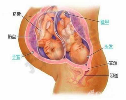 深圳高端代孕网_宝宝晚上吃奶哭闹的原因有哪些