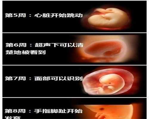 广东找代孕有哪些风险_各月龄宝宝的食谱