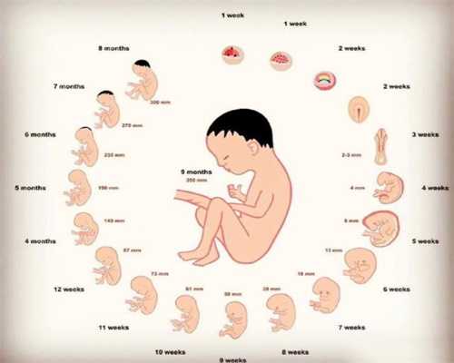 代孕有哪几种_刚出生的宝宝肚子响的原因 