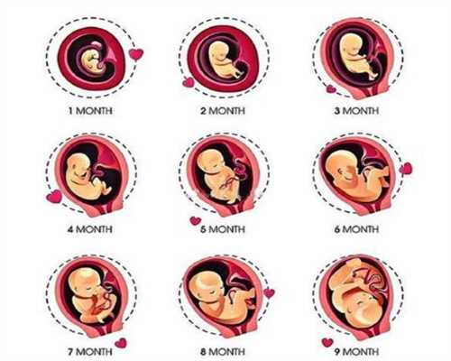 代孕机构哪家最专业_宫外孕会来月经吗 宫外孕的症状是什么