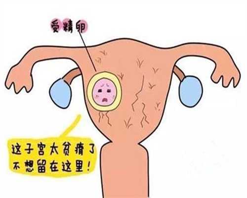 代孕官方网站-广州代孕大概要花多少钱_面对反复试管移植失败，真的就没救了